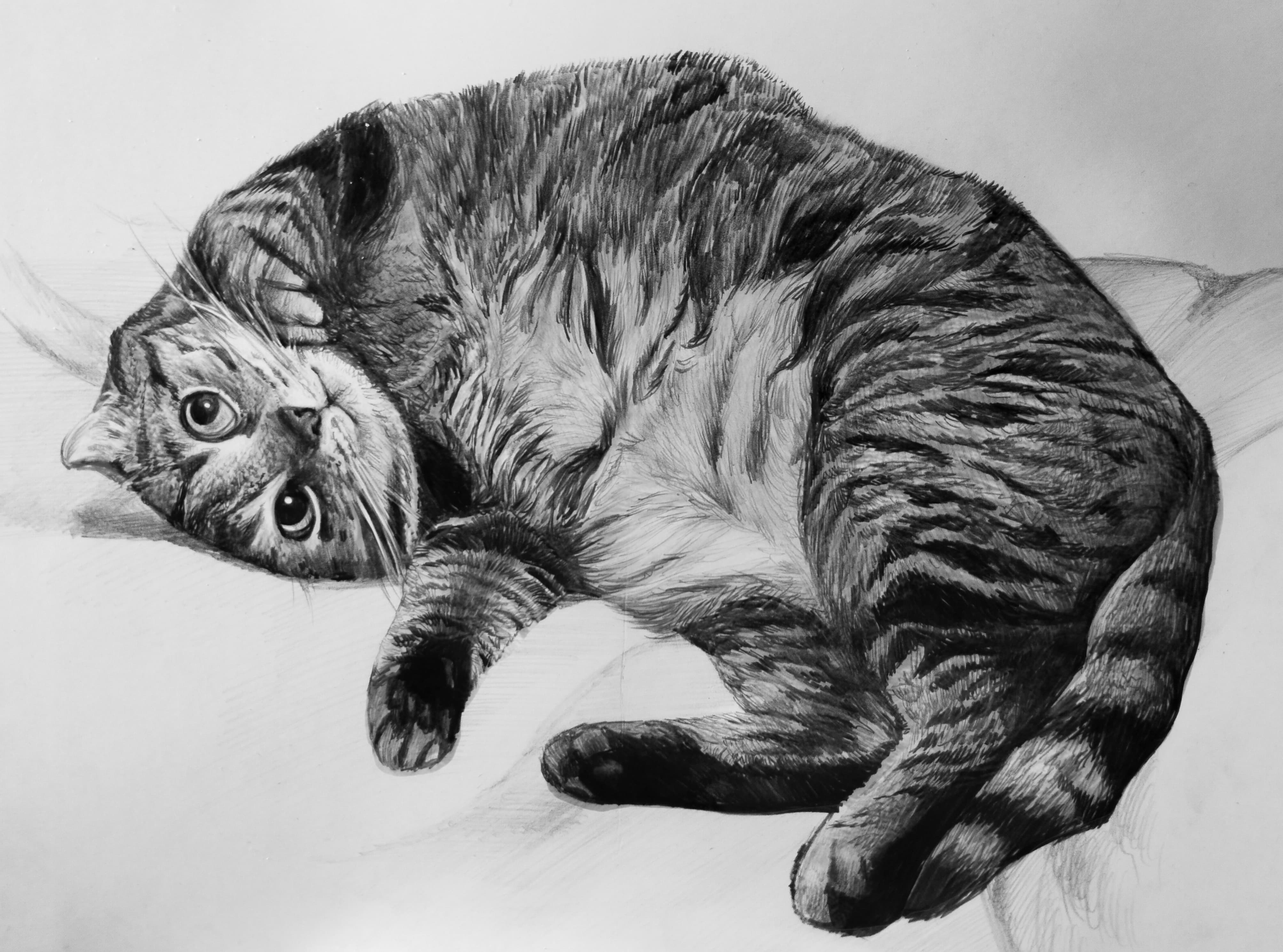 Карандашная работа 13