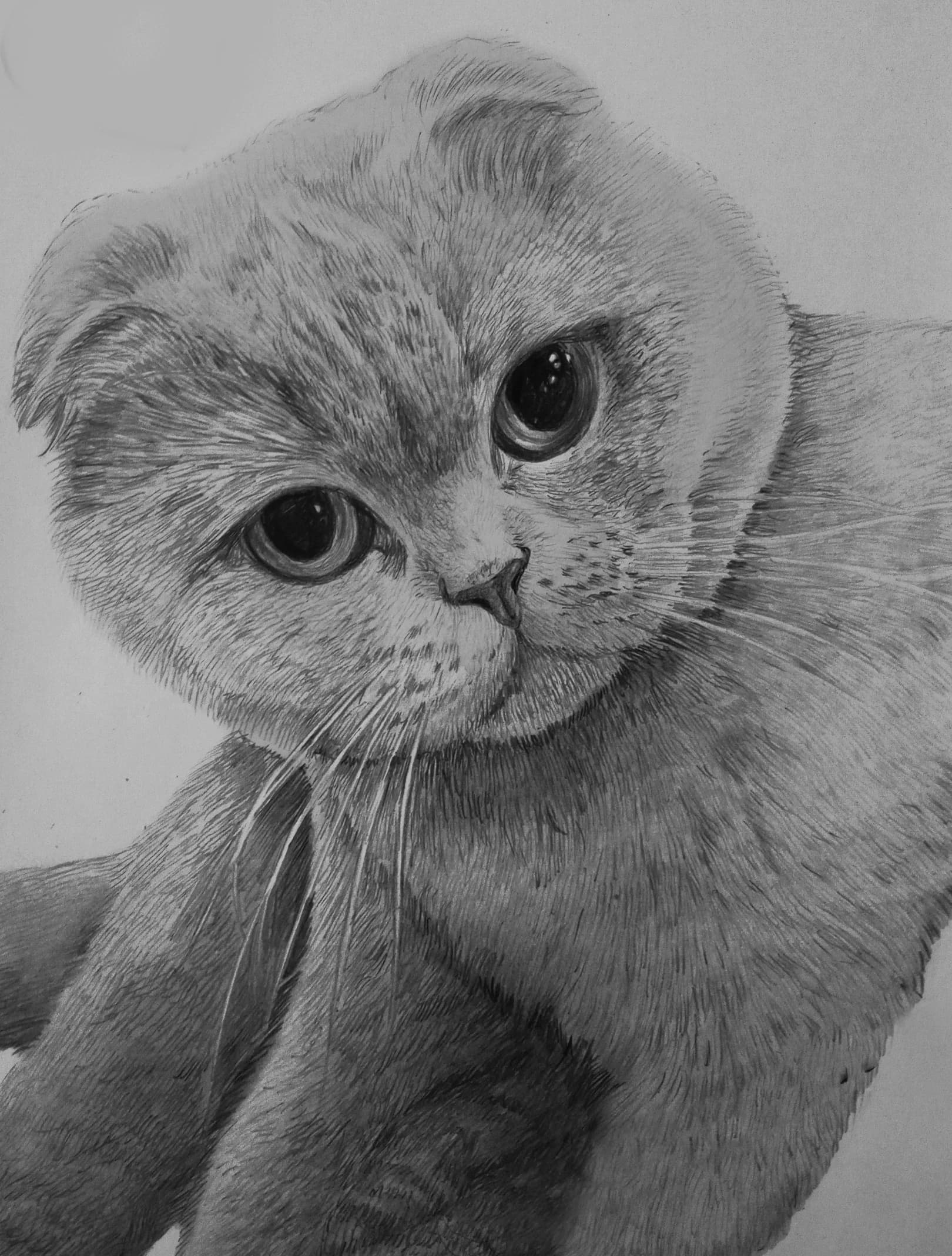 Карандашная работа 3